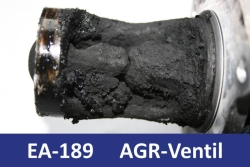 Teaser EA-189 AGR-Ventil