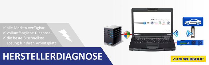 1.Herstellerdiagnose Banner