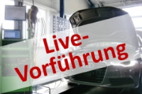 Herstellerdiagnose-System Live-Vorführung